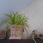 Les Hotes Du Lac, Et Tables D'hotes 3* Mandailles