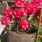 Les Hotes Du Lac, Et Tables D'hotes ベッド・アンド・ブレックファスト Mandailles