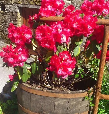 Les Hotes Du Lac, Et Tables D'hotes Bed & Breakfast Mandailles (Aveyron)