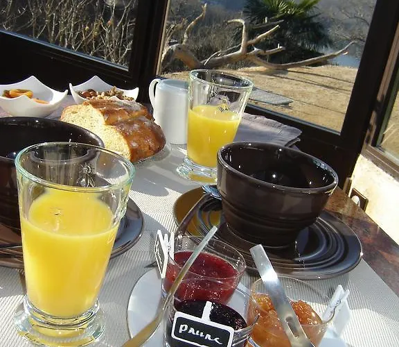 Bed & Breakfast Les Hotes Du Lac, Et Tables D'hotes Mandailles (Aveyron)